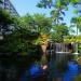Maui Island (Hawaii): description, attractions, recreation, reviews Where is Maui located