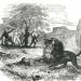 David Livingstone and his discoveries in South Africa