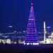 The tallest Christmas trees in the world
